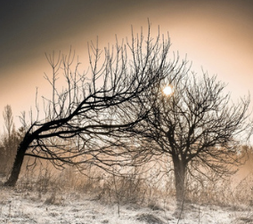 Captura de pantalla 2025-08-07 a las 10.51.42